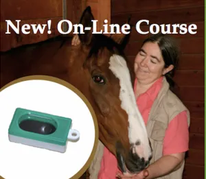 AAA: The On-Line Course