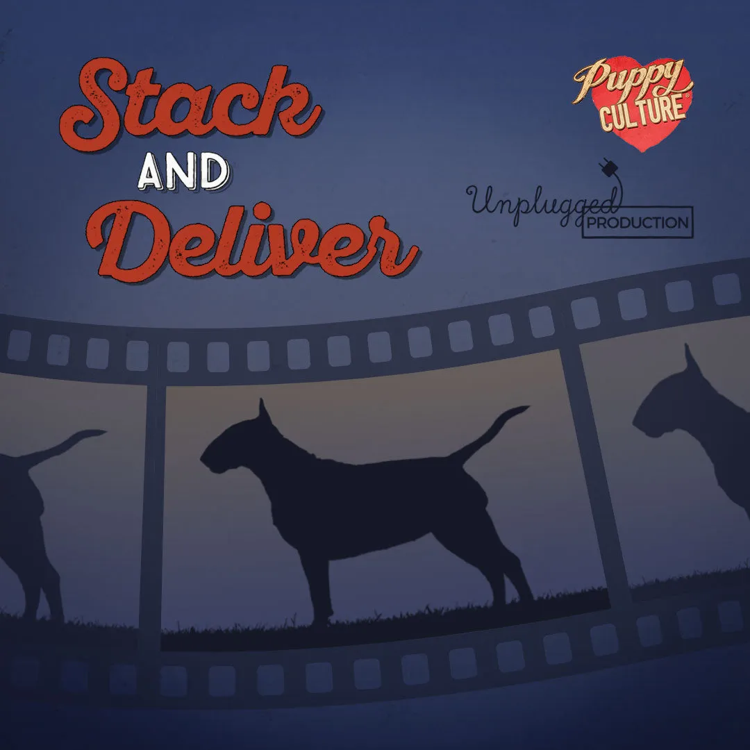 Essentials for Singletons – Show Package