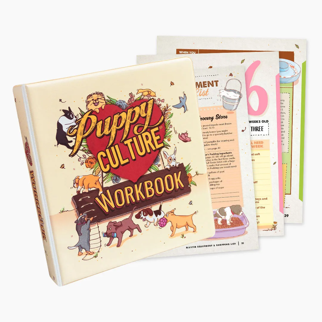 Essentials for Singletons – Show Package