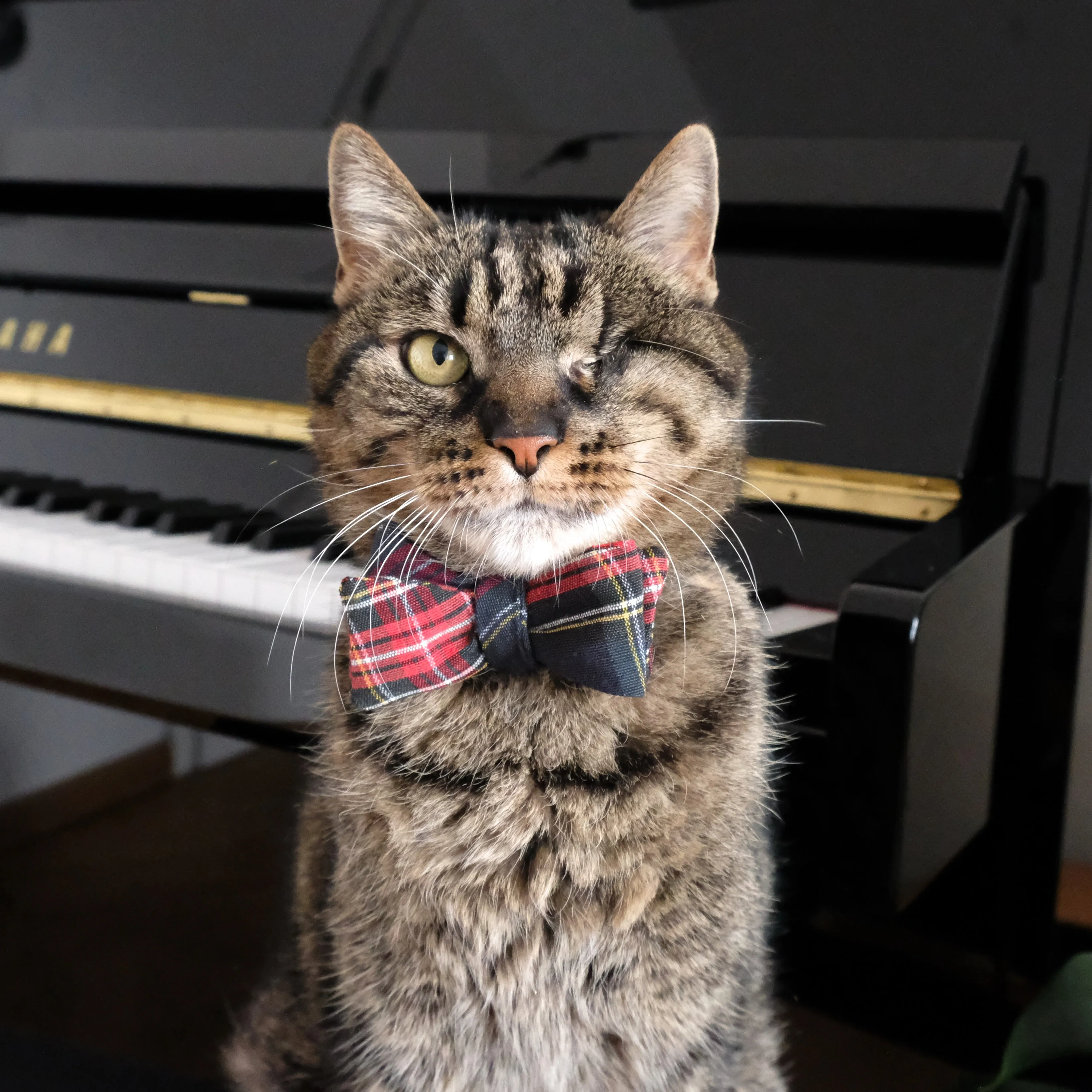Frisky Business