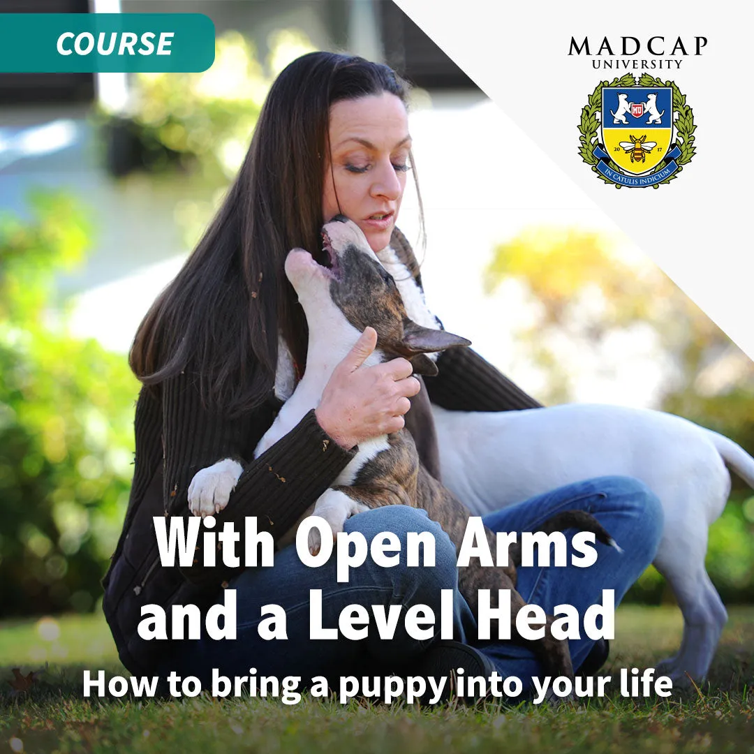 Full Power of Puppy Culture for Breeders