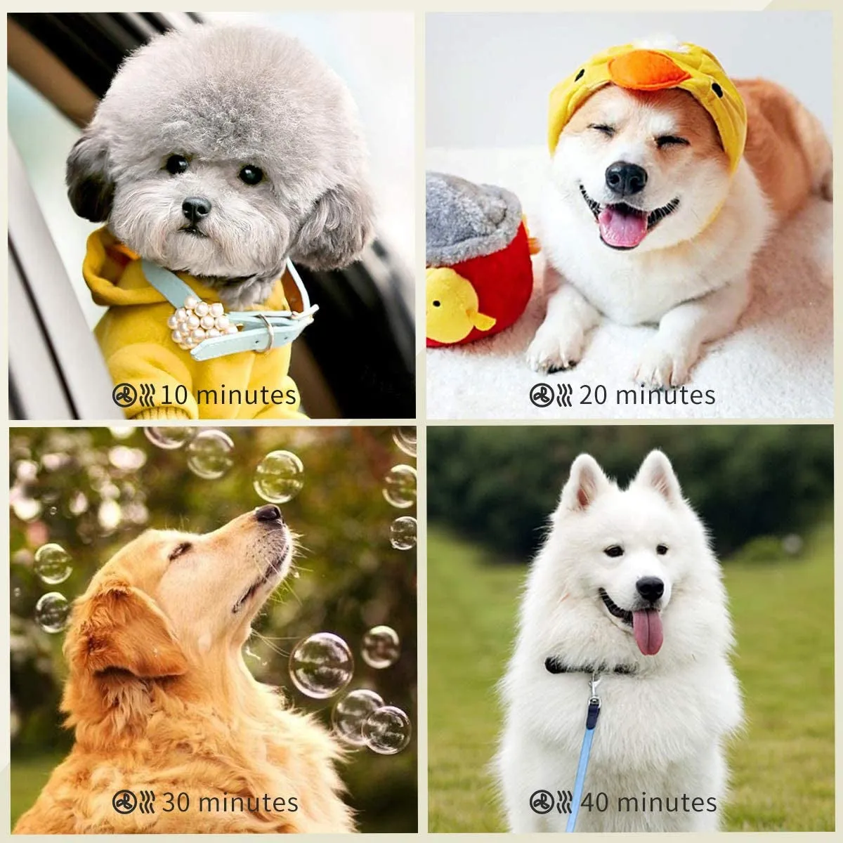High Velocity Professional Pet Grooming Drye