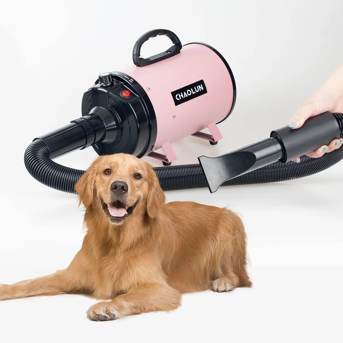 High Velocity Professional Pet Grooming Drye