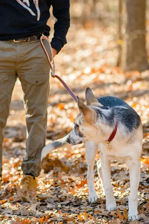 The Ranger MoneyMaker Attachment | Dog Leash For Your MoneyMaker