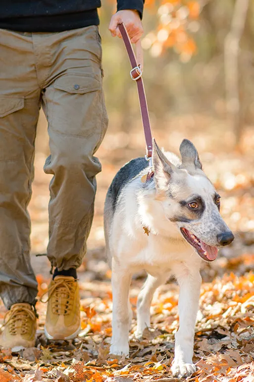 The Ranger Shorty Leash | Short Leather Handle For Your Pet
