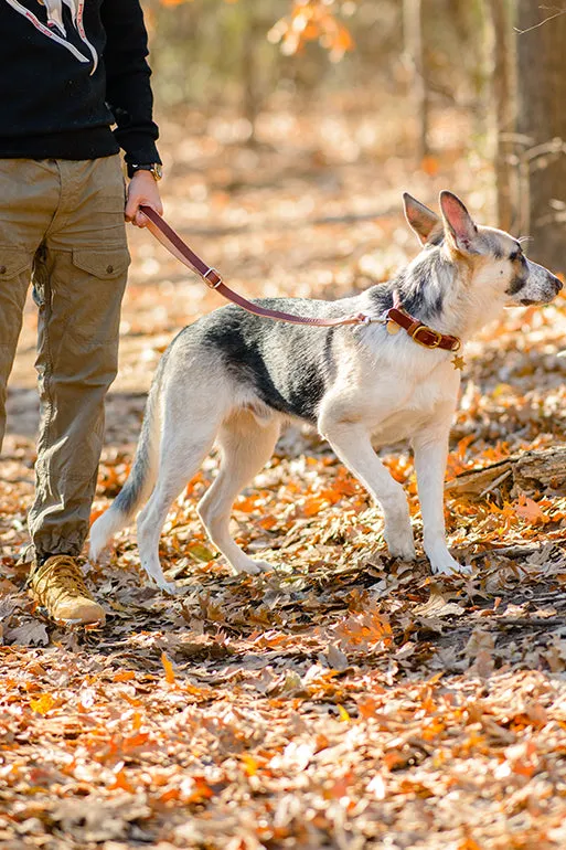 The Ranger Shorty Leash | Short Leather Handle For Your Pet