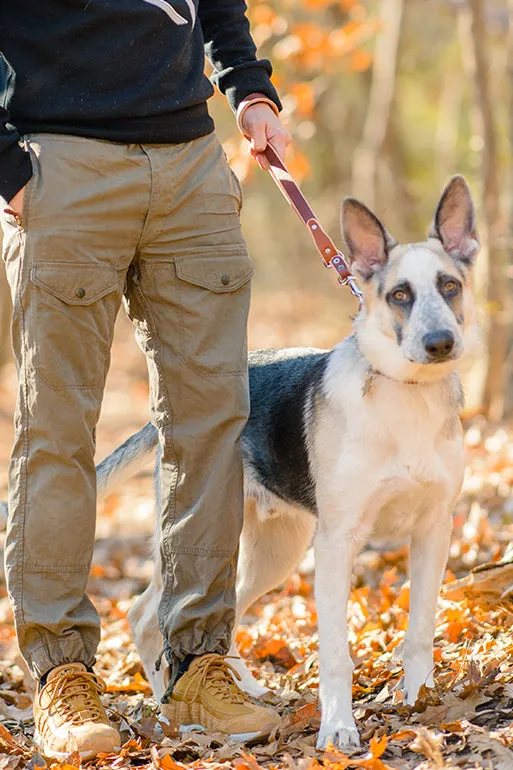The Ranger Shorty Leash | Short Leather Handle For Your Pet