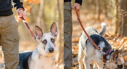The Ranger Shorty Leash | Short Leather Handle For Your Pet