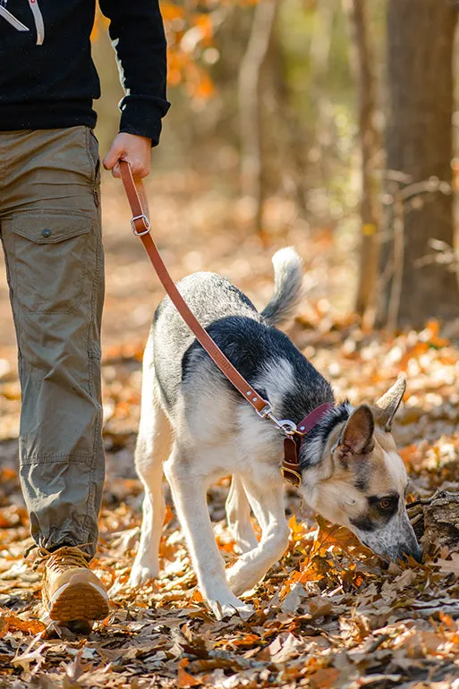 The Ranger Shorty Leash | Short Leather Handle For Your Pet
