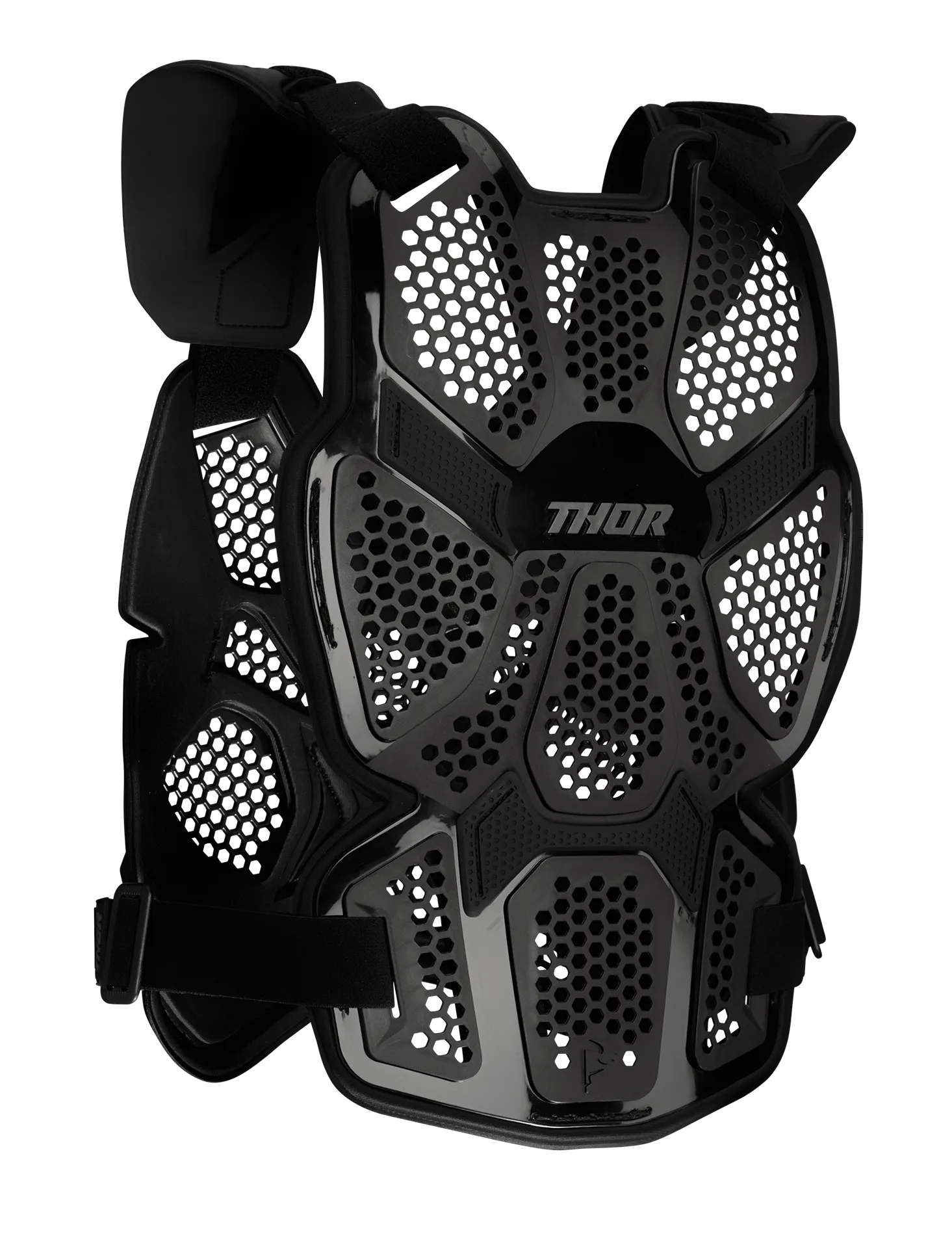 Thor Sentinel LTD Race Roost Guard