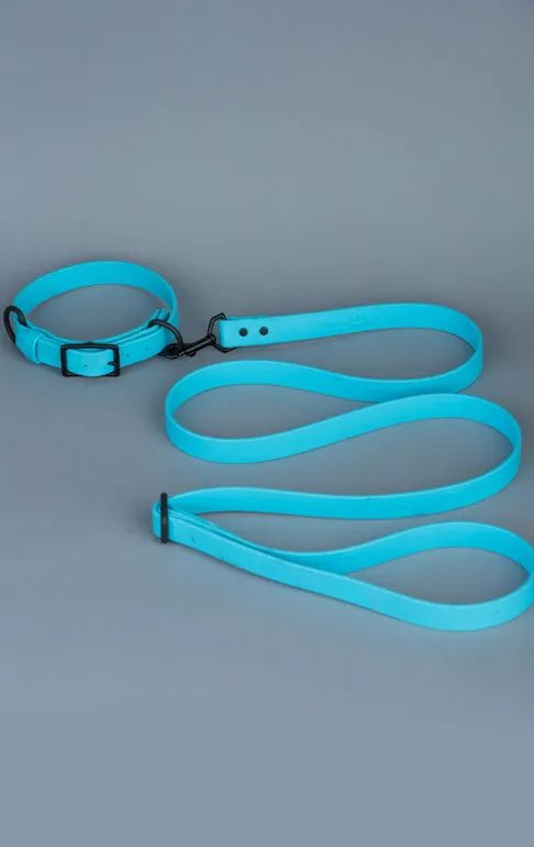 VEGAN RANGER DOG LEASH | HANDS FREE LEASH FOR YOUR PET