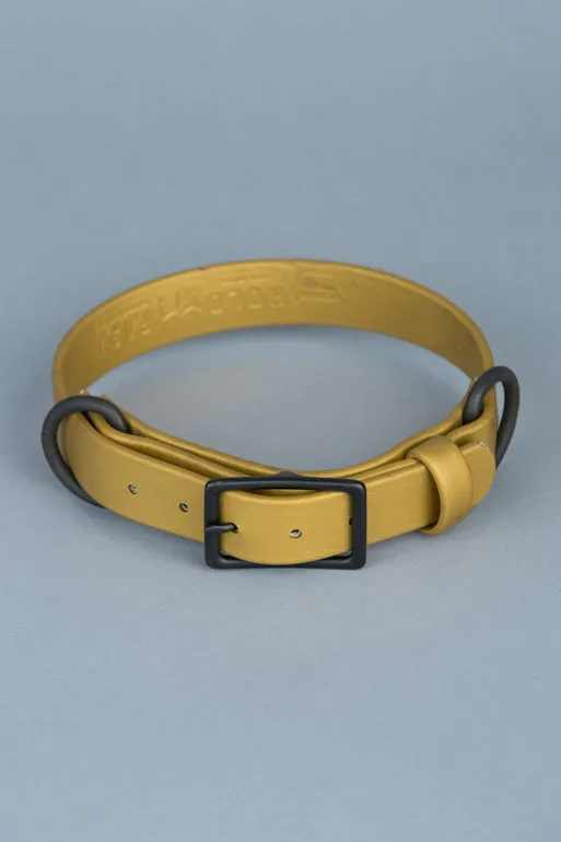 VEGAN RANGER DOG LEASH | HANDS FREE LEASH FOR YOUR PET