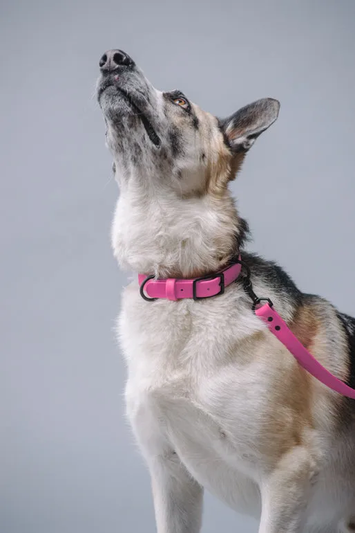 VEGAN RANGER DOG LEASH | HANDS FREE LEASH FOR YOUR PET