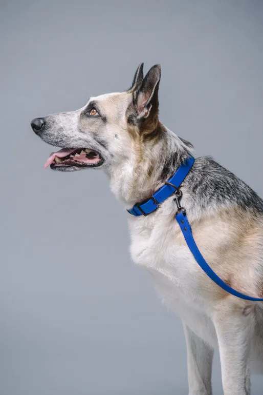 VEGAN RANGER DOG LEASH | HANDS FREE LEASH FOR YOUR PET