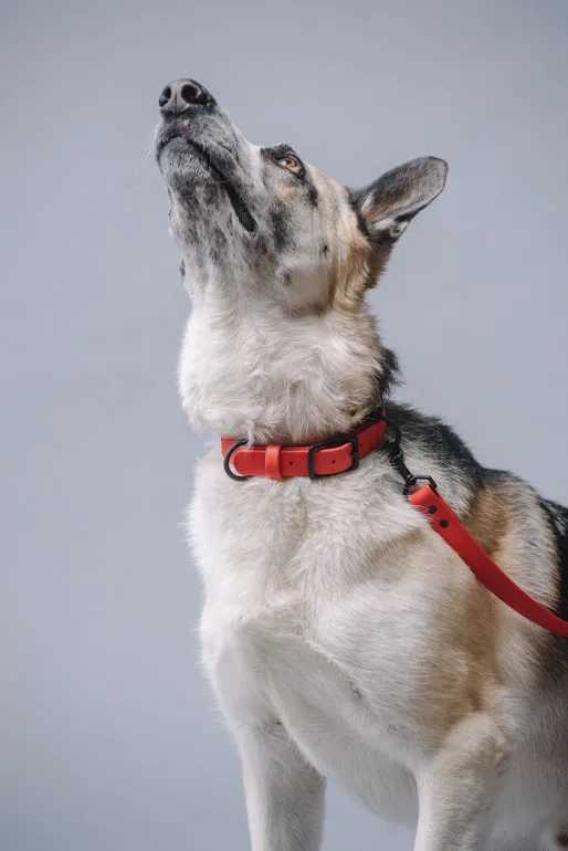 VEGAN RANGER DOG LEASH | HANDS FREE LEASH FOR YOUR PET