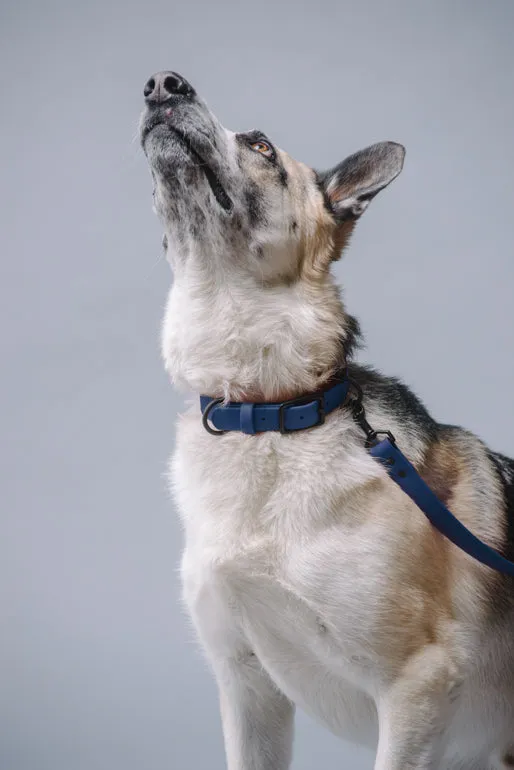VEGAN RANGER DOG LEASH | HANDS FREE LEASH FOR YOUR PET