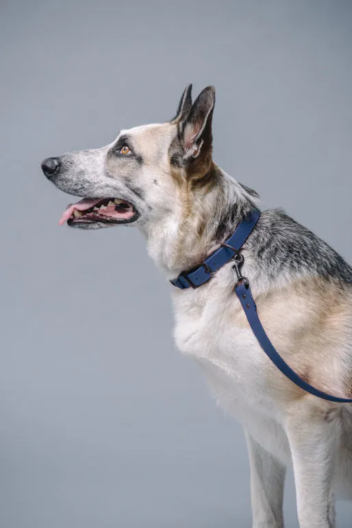VEGAN RANGER DOG LEASH | HANDS FREE LEASH FOR YOUR PET