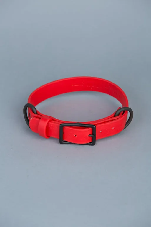 VEGAN RANGER DOG LEASH | HANDS FREE LEASH FOR YOUR PET