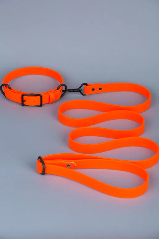 VEGAN RANGER DOG LEASH | HANDS FREE LEASH FOR YOUR PET