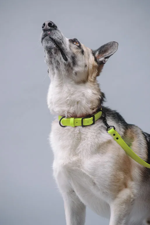 VEGAN RANGER DOG LEASH | HANDS FREE LEASH FOR YOUR PET