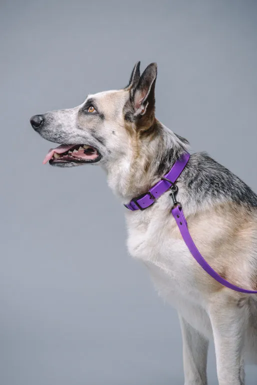 VEGAN RANGER DOG LEASH | HANDS FREE LEASH FOR YOUR PET