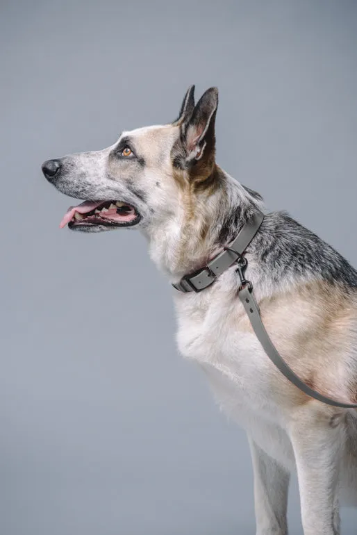 VEGAN RANGER DOG LEASH | HANDS FREE LEASH FOR YOUR PET
