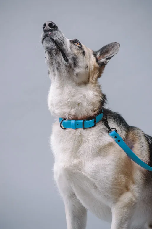 VEGAN RANGER DOG LEASH | HANDS FREE LEASH FOR YOUR PET