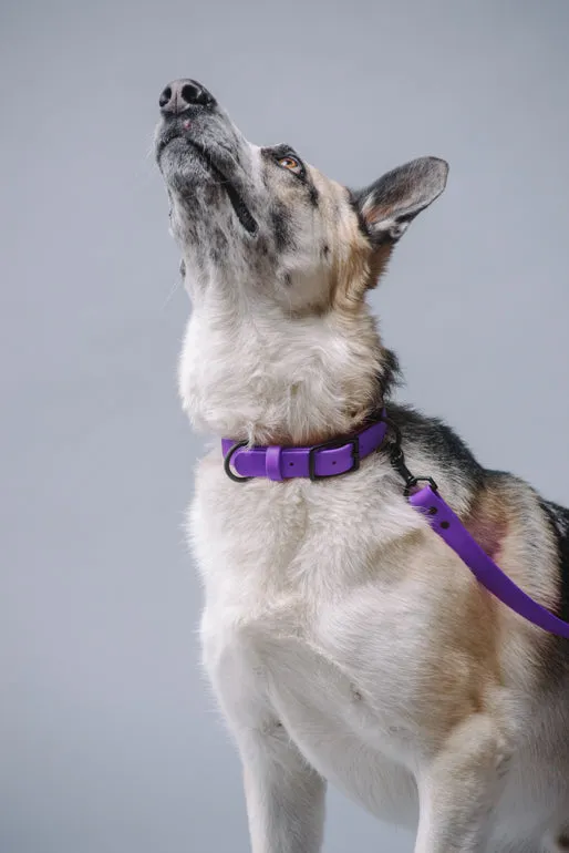 VEGAN RANGER DOG LEASH | HANDS FREE LEASH FOR YOUR PET
