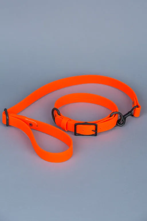 VEGAN RANGER DOG LEASH | HANDS FREE LEASH FOR YOUR PET
