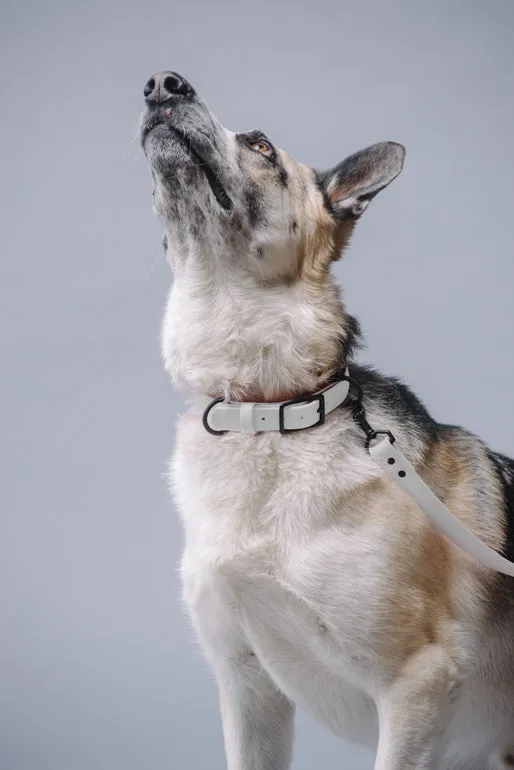 VEGAN RANGER DOG LEASH | HANDS FREE LEASH FOR YOUR PET