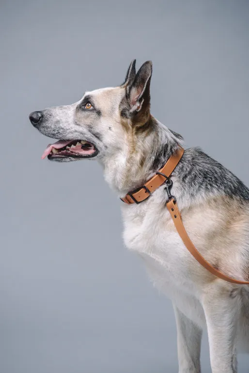 VEGAN RANGER DOG LEASH | HANDS FREE LEASH FOR YOUR PET
