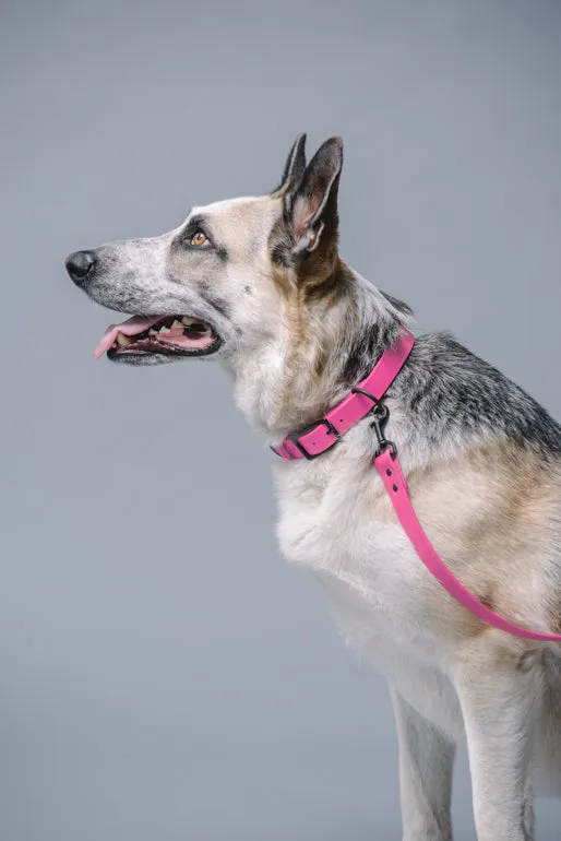 VEGAN RANGER DOG LEASH | HANDS FREE LEASH FOR YOUR PET