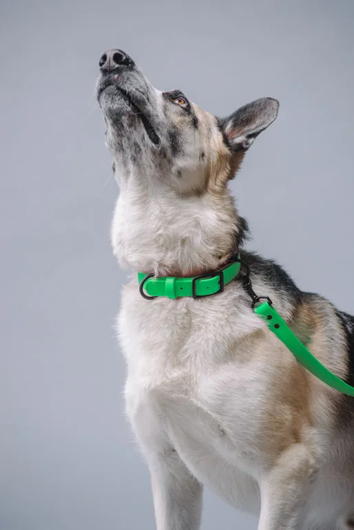 VEGAN RANGER DOG LEASH | HANDS FREE LEASH FOR YOUR PET