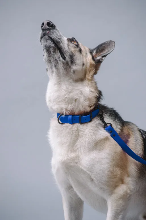 VEGAN RANGER DOG LEASH | HANDS FREE LEASH FOR YOUR PET