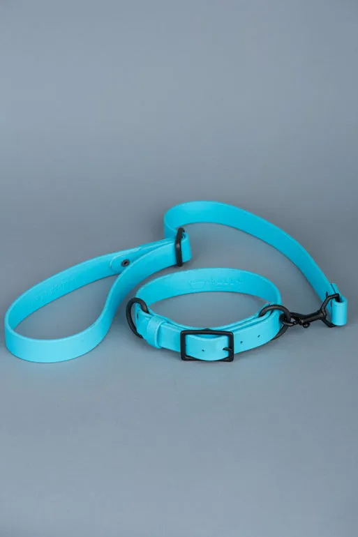VEGAN RANGER DOG LEASH | HANDS FREE LEASH FOR YOUR PET