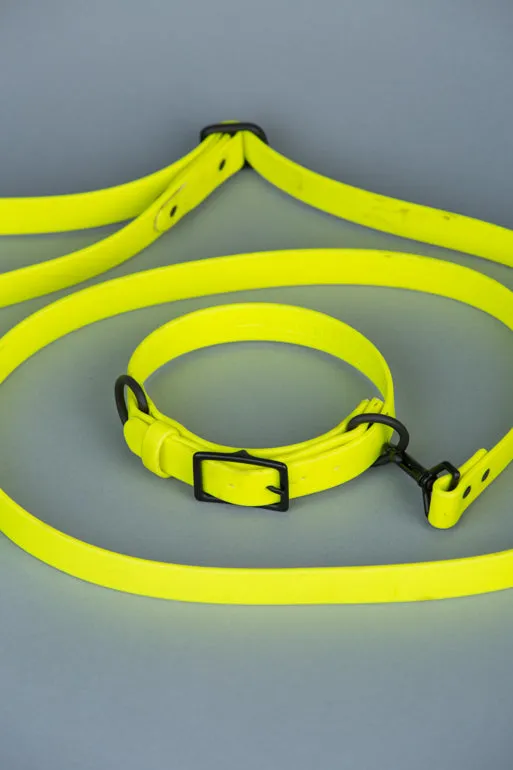 VEGAN RANGER DOG LEASH | HANDS FREE LEASH FOR YOUR PET