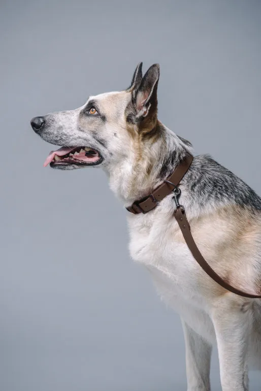 VEGAN RANGER DOG LEASH | HANDS FREE LEASH FOR YOUR PET