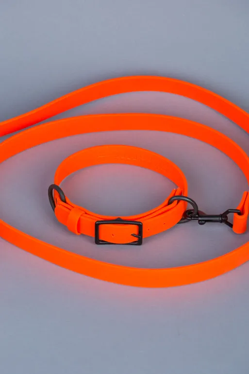 VEGAN RANGER DOG LEASH | HANDS FREE LEASH FOR YOUR PET