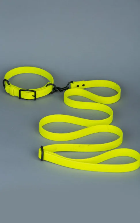 VEGAN RANGER DOG LEASH | HANDS FREE LEASH FOR YOUR PET