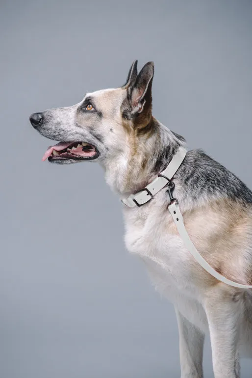 VEGAN RANGER DOG LEASH | HANDS FREE LEASH FOR YOUR PET