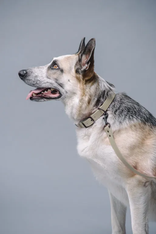 VEGAN RANGER DOG LEASH | HANDS FREE LEASH FOR YOUR PET