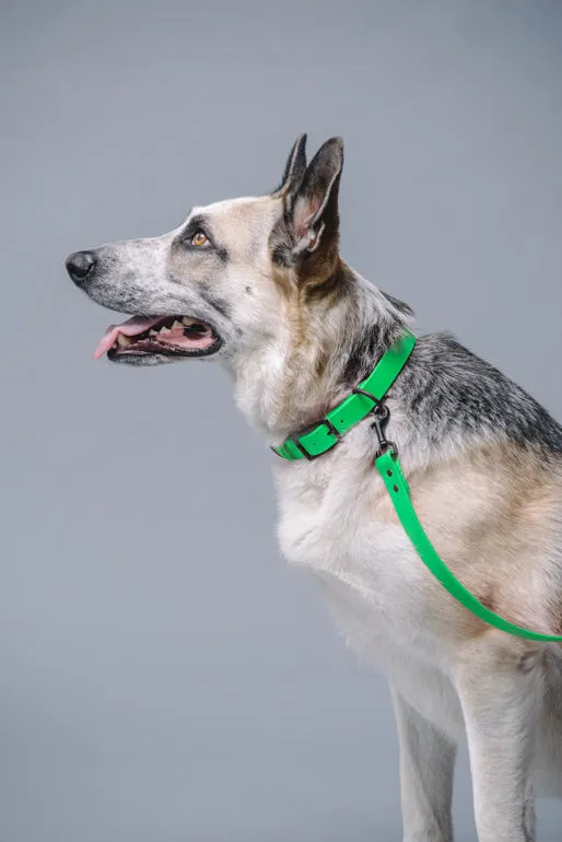 VEGAN RANGER DOG LEASH | HANDS FREE LEASH FOR YOUR PET