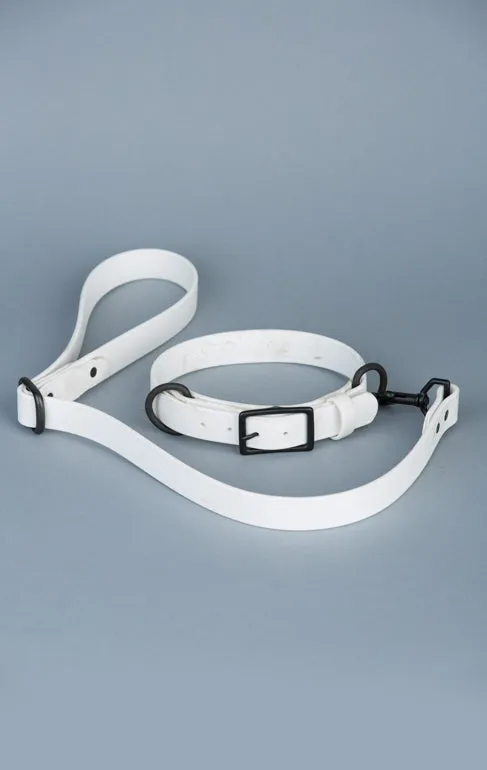 VEGAN RANGER DOG LEASH | HANDS FREE LEASH FOR YOUR PET