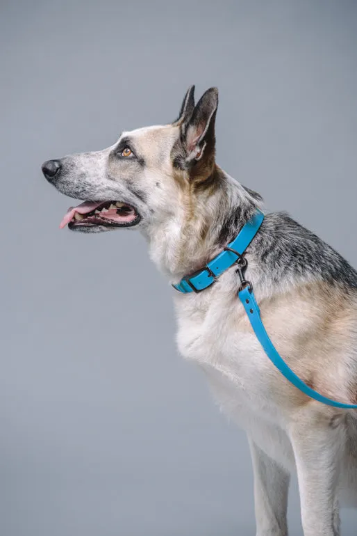 VEGAN RANGER DOG LEASH | HANDS FREE LEASH FOR YOUR PET