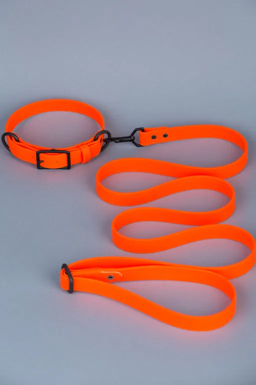 VEGAN RANGER DOG LEASH | HANDS FREE LEASH FOR YOUR PET