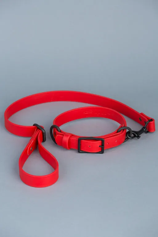 VEGAN RANGER DOG LEASH | HANDS FREE LEASH FOR YOUR PET
